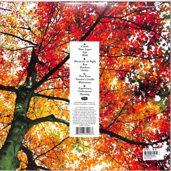 Виниловая пластинка Ludovico Einaudi - In A Time Lapse (2LP)