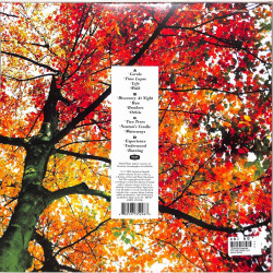 Виниловая пластинка Ludovico Einaudi - In A Time Lapse (2LP)