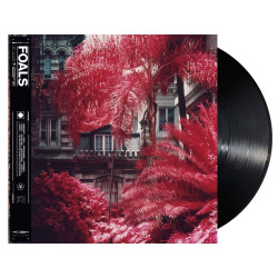Виниловая пластинка Foals - Everything Not Saved Will Be Lost: Part 1 (LP)