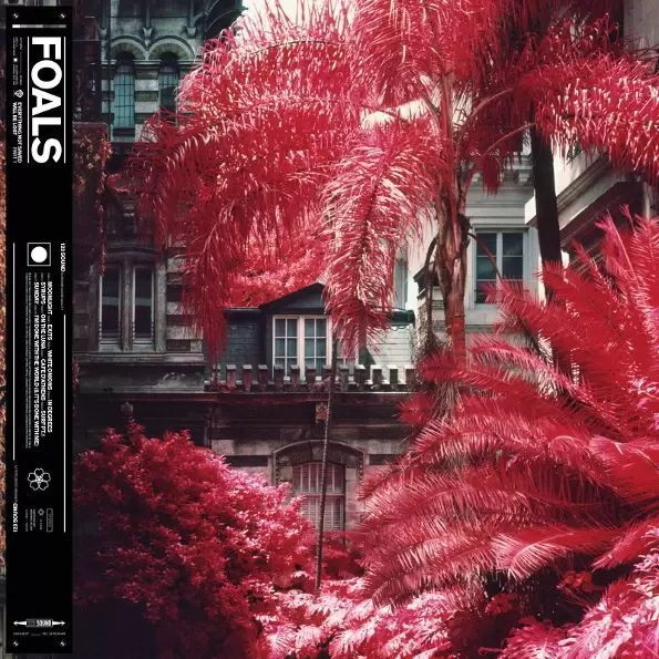 Виниловая пластинка Foals - Everything Not Saved Will Be Lost: Part 1 (LP)