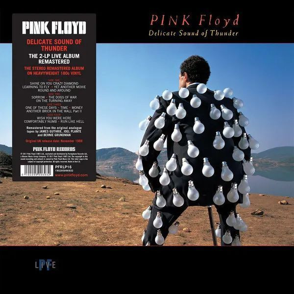 Виниловая пластинка Pink Floyd - Delicate Sound Of Thunder (2LP)