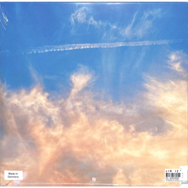 Виниловая пластинка Thirty Seconds To Mars - Its The End Of The World But Its A Beautiful Day (LP) оранжевый винил