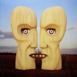 Виниловая пластинка Pink Floyd - The Division Bell (2LP)