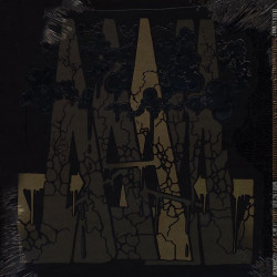 Виниловая пластинка MF Doom - Born Like This (2LP)