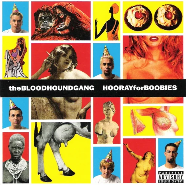 Виниловая пластинка Bloodhound Gang - Hooray For Boobies (2LP) цветной винил