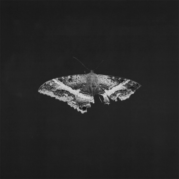 Виниловая пластинка Kendrick Lamar - To Pimp A Butterfly (2LP) 10th Anniversary