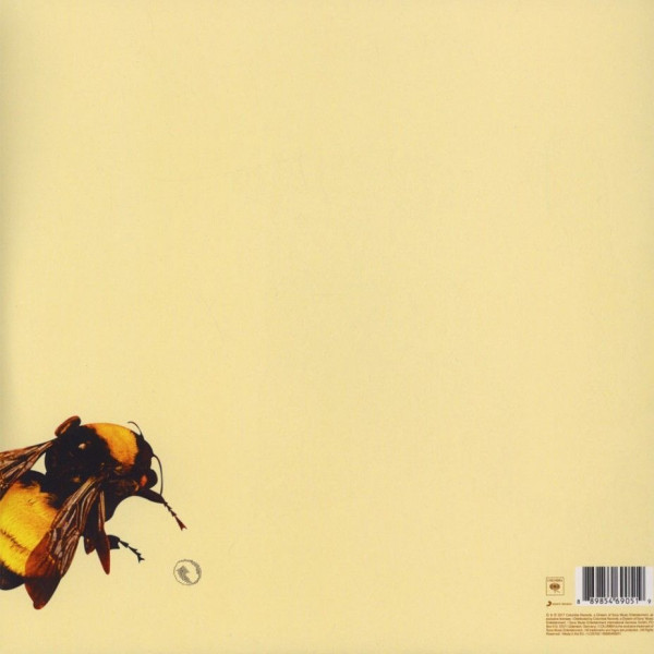 Виниловая пластинка Tyler The Creator - Scum F*** Flower Boy (2LP)