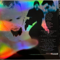 Виниловая пластинка Evanescence - Fallen deluxe (2LP) чёрный винил