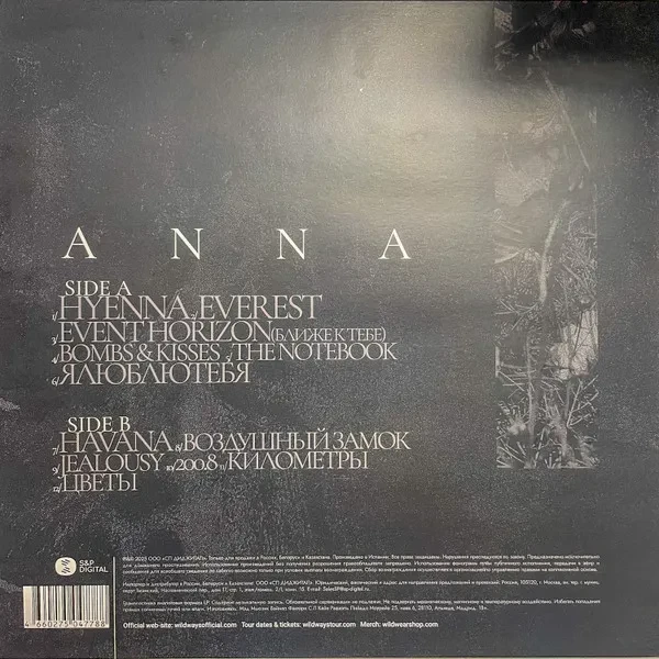 Виниловая пластинка Wildways - Anna (LP) серебряный винил