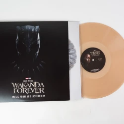 Виниловая пластинка Various - Black Panther: Wakanda Forever (LP) цветной винил