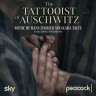 Виниловая пластинка Hans Zimmer & Kara Talve - The Tattooist Of Auschwitz (2LP)