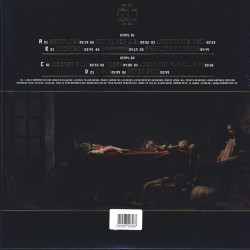 Виниловая пластинка Rammstein - Liebe Ist Fur Alle Da (2LP)