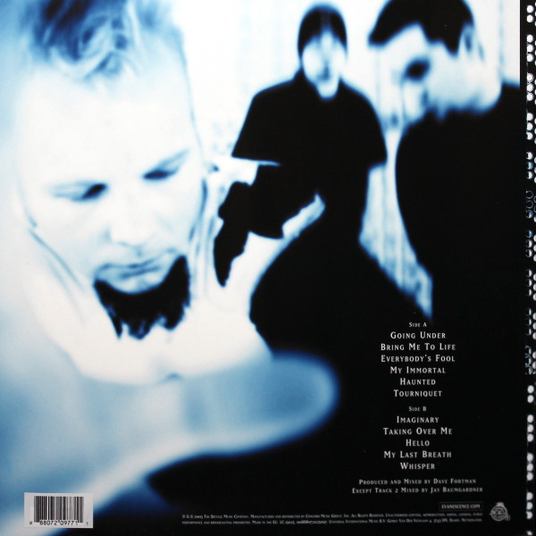 Виниловая пластинка Evanescence - Fallen (LP) чёрный винил