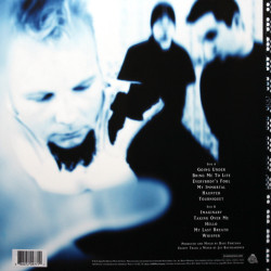 Виниловая пластинка Evanescence - Fallen (LP) чёрный винил