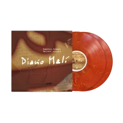 Виниловая пластинка Ludovico Einaudi - Diario Mali (2LP) цветной винил