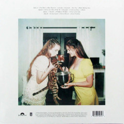 Виниловая пластинка Lana Del Rey - Blue Banisters (2LP)